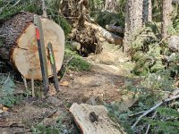 20230514_123700.jpg 20230514_123700.jpg