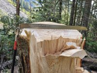 20230514_124055.jpg 20230514_124055.jpg