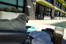 IMG_20220820_1352277.jpg IMG_20220820_1352277.jpg