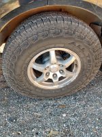 IMG_20231017_154448225_HDR.jpg IMG_20231017_154448225_HDR.jpg