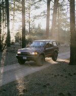 AR501288.JPG AR501288.JPG