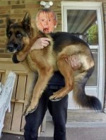 carry GSD.JPG