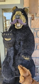 20231018_145652_copy_349x747.jpg 20231018_145652_copy_349x747.jpg