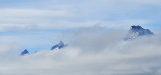 20231016_101027_copy_1600x747.jpg 20231016_101027_copy_1600x747.jpg