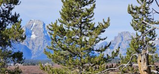 20231016_103435_copy_1600x747.jpg 20231016_103435_copy_1600x747.jpg