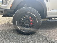 IMG_8252.jpeg