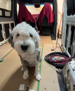 IMG_9450.jpg IMG_9450.jpg