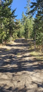 20231017_131705_copy_1200x2570.jpg 20231017_131705_copy_1200x2570.jpg