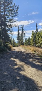 20231017_131719_copy_1200x2570.jpg 20231017_131719_copy_1200x2570.jpg