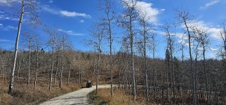 20231017_135813_copy_1200x560.jpg 20231017_135813_copy_1200x560.jpg