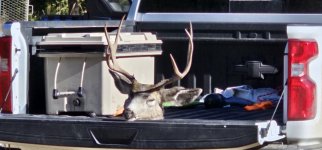 20231020_103133_copy_1200x560.jpg 20231020_103133_copy_1200x560.jpg