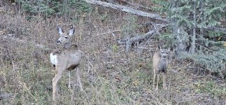 20231019_163815_copy_1200x560.jpg 20231019_163815_copy_1200x560.jpg