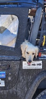 20231020_114654_copy_1200x2570.jpg 20231020_114654_copy_1200x2570.jpg