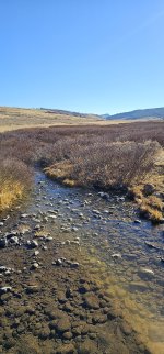 20231020_110446_copy_1200x2570.jpg 20231020_110446_copy_1200x2570.jpg