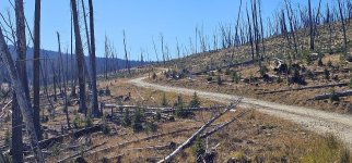 20231020_112946_copy_1200x560.jpg 20231020_112946_copy_1200x560.jpg