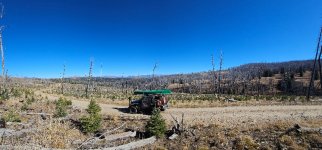 Screenshot_20231025_093852_Gallery_copy_1600x746.jpg Screenshot_20231025_093852_Gallery_copy_1600x746.jpg