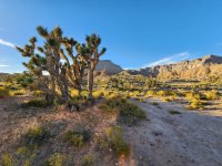 20231025_165300.jpg 20231025_165300.jpg