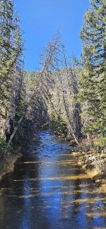 20231020_133300_copy_349x747.jpg 20231020_133300_copy_349x747.jpg