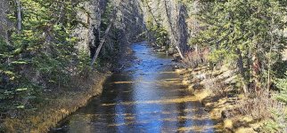 20231020_133335_copy_1600x747.jpg 20231020_133335_copy_1600x747.jpg