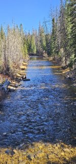 20231020_133324_copy_349x747.jpg 20231020_133324_copy_349x747.jpg