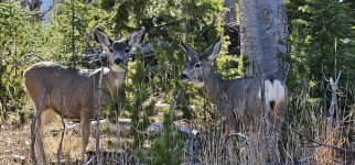 20231020_121043_copy_1600x747.jpg 20231020_121043_copy_1600x747.jpg