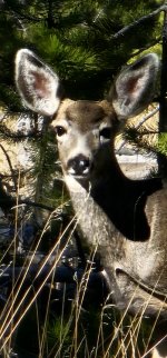 20231020_122054_copy_349x747.jpg 20231020_122054_copy_349x747.jpg