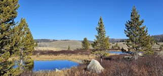 20231020_142358_copy_1600x747.jpg 20231020_142358_copy_1600x747.jpg