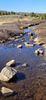 20231020_142203_copy_349x747.jpg 20231020_142203_copy_349x747.jpg