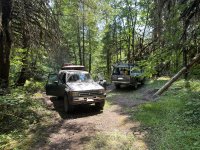 IMG_0194.jpg