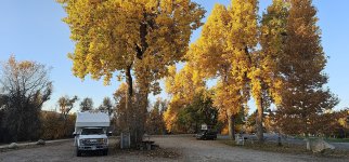 20231022_081021_copy_1600x747.jpg 20231022_081021_copy_1600x747.jpg