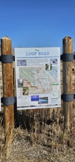 20231022_105950_copy_1200x2570.jpg 20231022_105950_copy_1200x2570.jpg