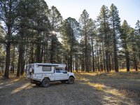 _DSF8349.jpg _DSF8349.jpg