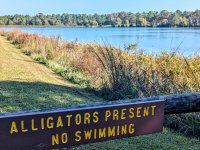 PHAT 19.jpg PHAT 19.jpg