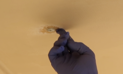 Screen Shot 2023-11-05 at 9.28.01 AM.png