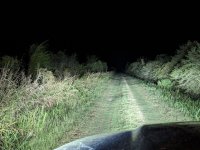 CBL 01.jpg CBL 01.jpg