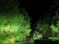 CBL 03.jpg CBL 03.jpg