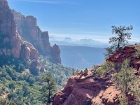 baer 1.jpg baer 1.jpg