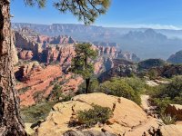 baer 2.jpg baer 2.jpg