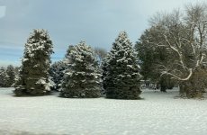 IMG_8495.jpeg IMG_8495.jpeg