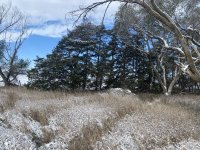 IMG_8503.jpeg IMG_8503.jpeg