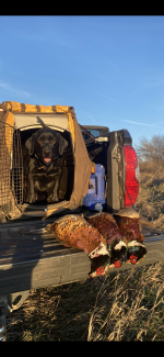 IMG_8631.png IMG_8631.png