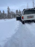 IMG_9494.jpg IMG_9494.jpg