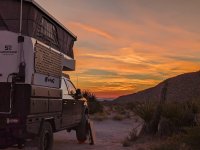 PXL_20231101_135442339.MP (1).jpg