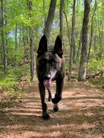 Havoc Massanutten (2).jpg