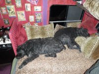 2012_01 023.jpg 2012_01 023.jpg