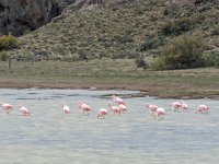 PXL_20231115_145624602.jpg PXL_20231115_145624602.jpg