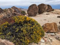 PXL_20231116_143303480.jpg PXL_20231116_143303480.jpg