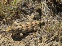 PXL_20231112_182225063.jpg PXL_20231112_182225063.jpg