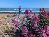 PXL_20231112_184529478.PORTRAIT.jpg PXL_20231112_184529478.PORTRAIT.jpg