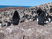 PXL_20231113_133901701.jpg PXL_20231113_133901701.jpg